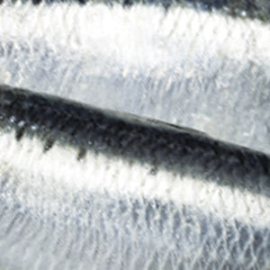 Sardines (Wild Caught)