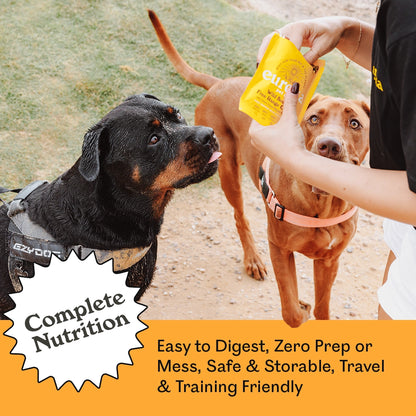 Rottweiler and Vizsla eagerly waiting for Eureka Pet Co. Wild Boar & Free Range Chicken air-dried dog food sample at a dog park — complete nutrition, easy to digest, zero prep, travel and training friendly