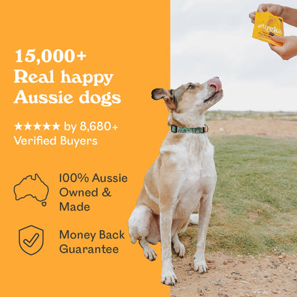 Image 2
Labrador mix sitting attentively outdoors as owner holds Eureka Pet Co. air-dried dog food sample — 5-star rated by over 8,680 verified buyers, 100% Australian owned and made with a money back guarantee