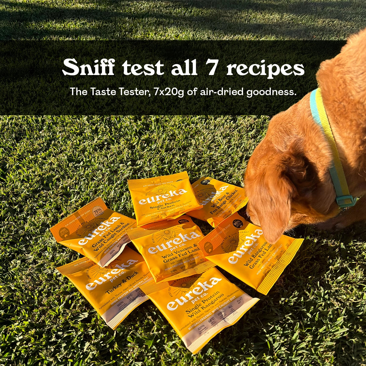 Cavador dog sniffing seven Eureka Pet Co. air-dried dog food sample packs laid out on grass, promoting the Taste Tester variety pack.