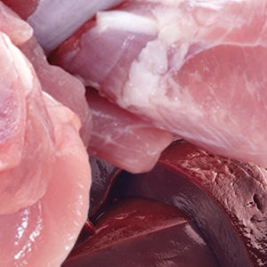 Turkey Meat, Organs & Bone