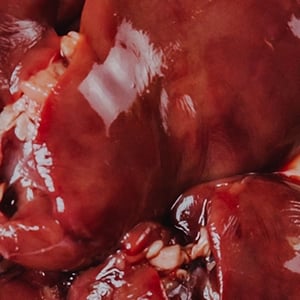 Wild Venison Organs & Bone