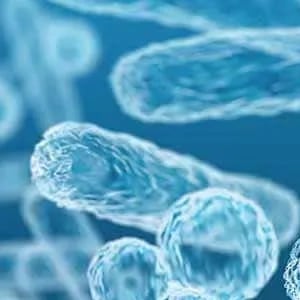 Postbiotic