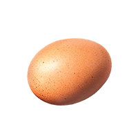 Free Range Eggs