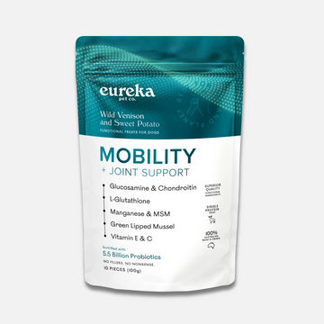 Mobility + Joint Support