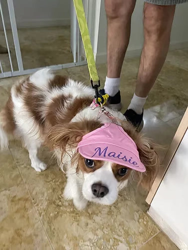 Janet