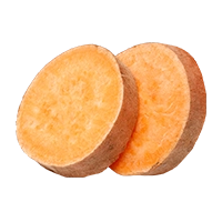 Sweet Potato